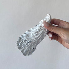 Afbeelding in Gallery-weergave laden, Oester Wierookhouder