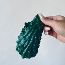 Afbeelding in Gallery-weergave laden, Oester Wierookhouder