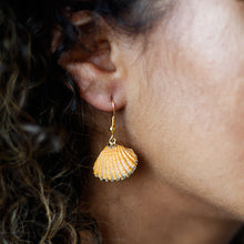 Afbeelding in Gallery-weergave laden, Orange Shell