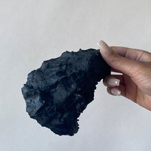 Afbeelding in Gallery-weergave laden, Oester Wierookhouder